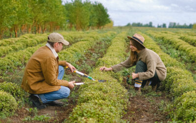 Entrepreneurship for Youth and Women in Rural Environments